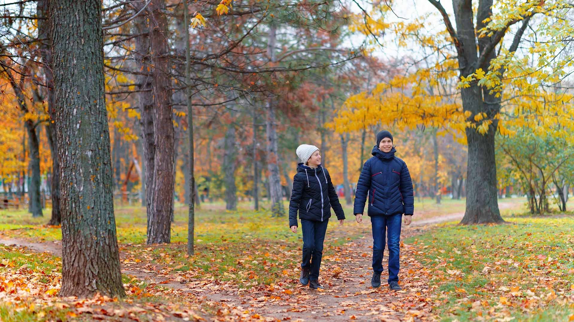 Two people taking a walk in a park. Two people taking a walk in a park.