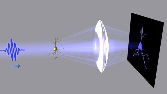 In conventional imaging, a lens focuses light onto a sensor to show the image. In conventional imaging, a lens focuses light onto a sensor to show the image.