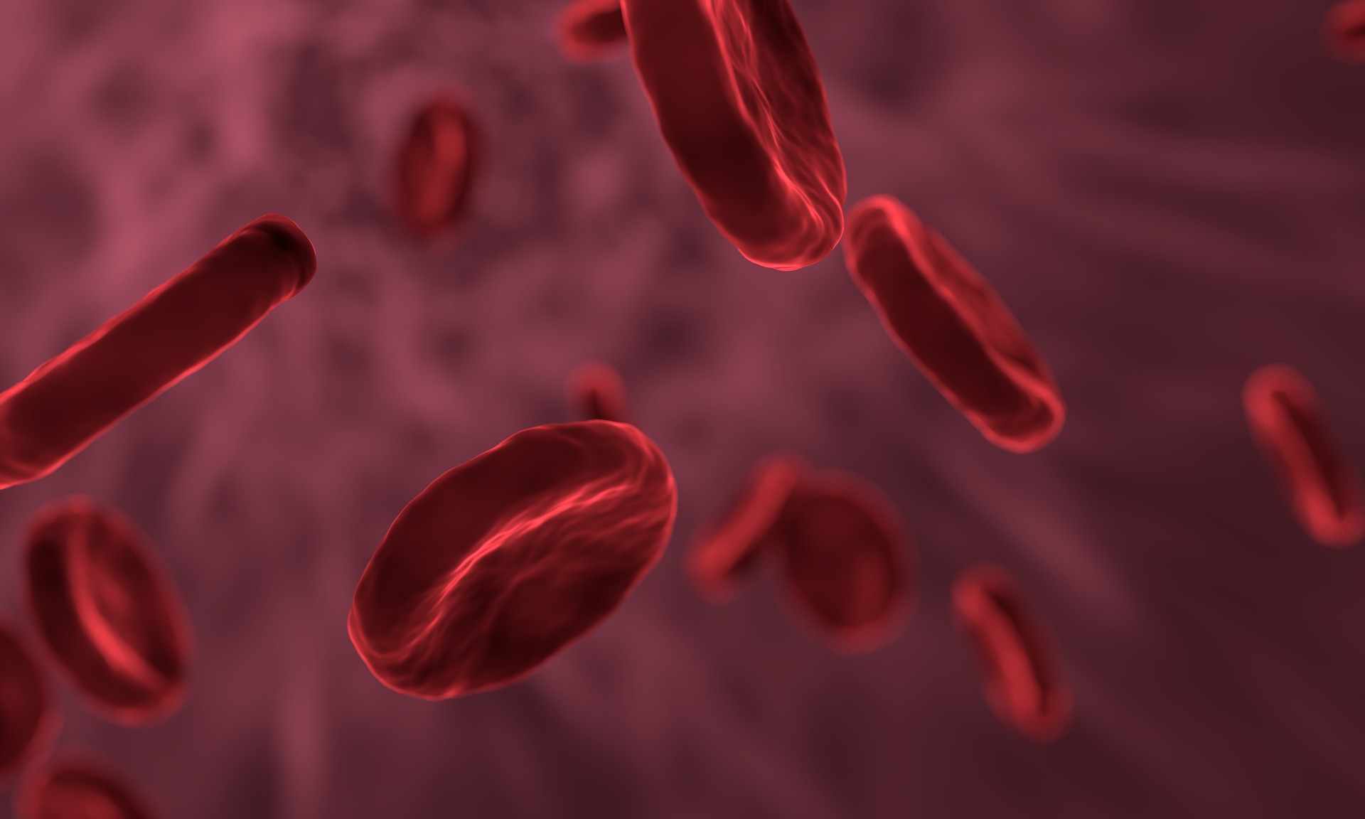 red blood cells red blood cells