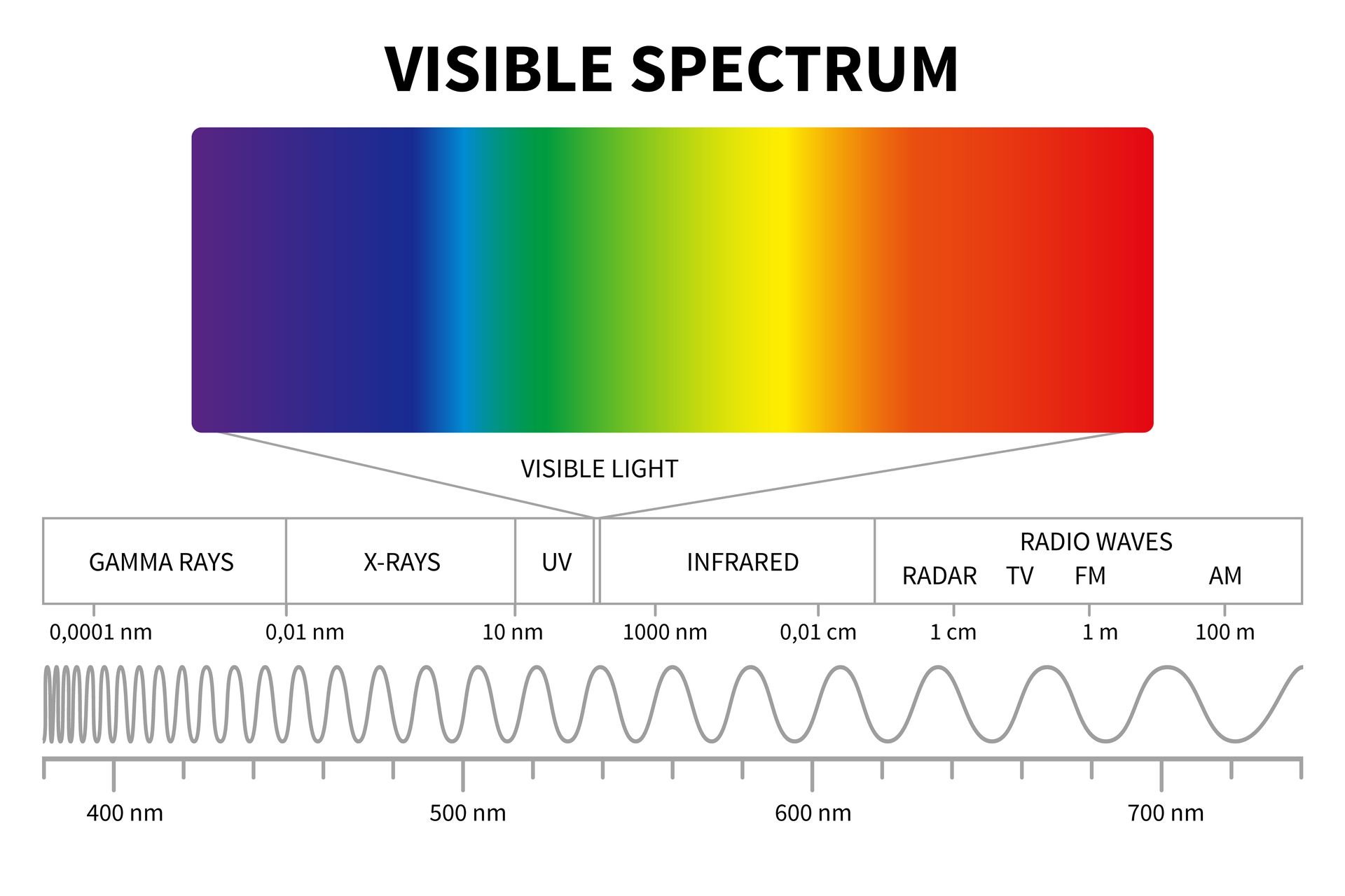 A diagram of the light spectrum focusing on visible light. A diagram of the light spectrum focusing on visible light.